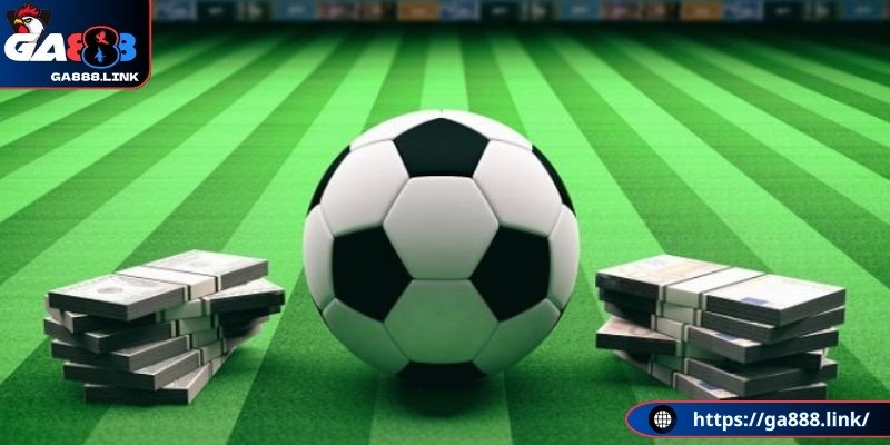 Cách đọc kèo rung chuẩn nhất