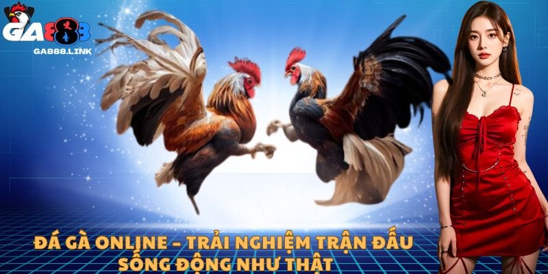 Đá gà online – Trải nghiệm trận đấu sống động như thật