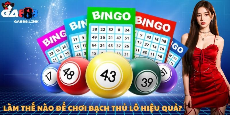 Làm thế nào để chơi bạch thủ lô hiệu quả?